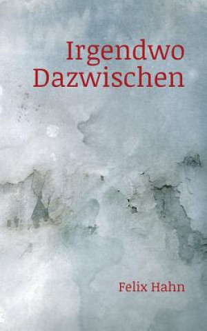 Книга Irgendwo Dazwischen Felix Hahn