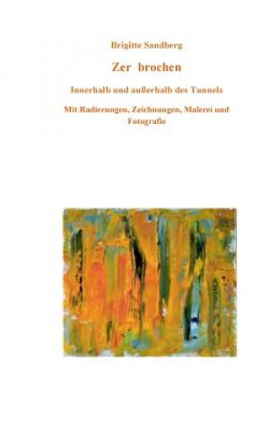 Book Zer brochen Brigitte Sandberg