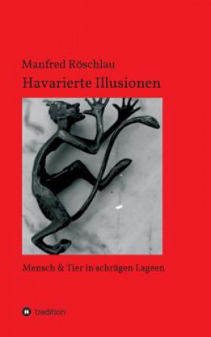 Książka Havarierte Illusionen Manfred Röschlau