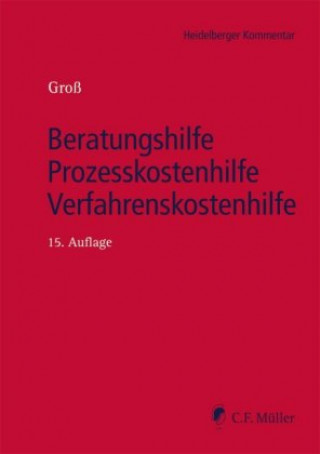 Könyv Beratungshilfe - Prozesskostenhilfe - Verfahrenskostenhilfe Ingo Michael Groß