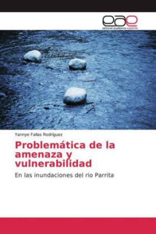 Könyv Problemática de la amenaza y vulnerabilidad Yannye Fallas Rodríguez