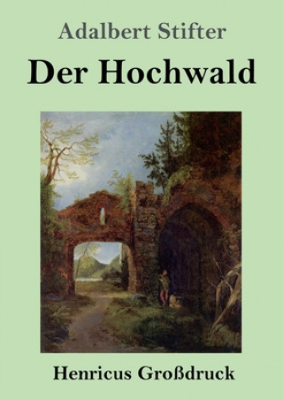 Könyv Hochwald (Grossdruck) Adalbert Stifter