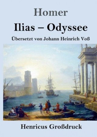 Livre Ilias / Odyssee (Grossdruck) Homer