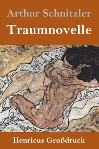 Kniha Traumnovelle (Grossdruck) Arthur Schnitzler