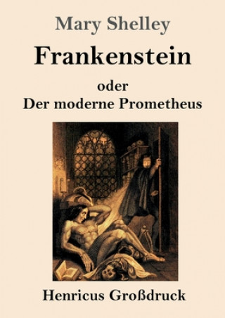 Kniha Frankenstein oder Der moderne Prometheus (Grossdruck) Mary Shelley