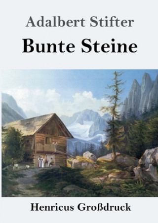 Książka Bunte Steine (Grossdruck) Adalbert Stifter