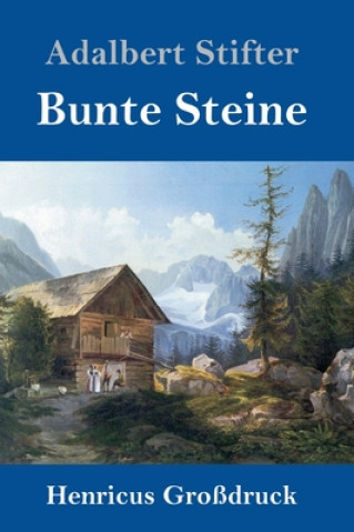 Książka Bunte Steine (Grossdruck) Adalbert Stifter