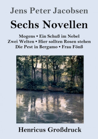 Kniha Sechs Novellen (Grossdruck) Jens Peter Jacobsen