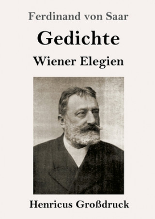 Kniha Gedichte / Wiener Elegien (Grossdruck) Ferdinand Von Saar