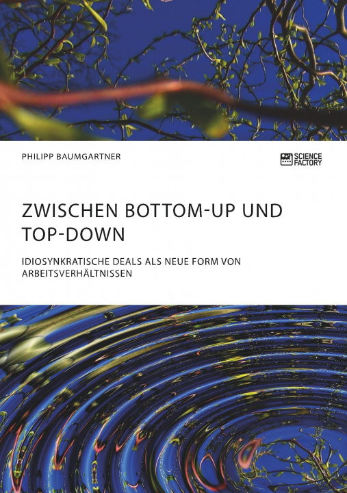 Buch Zwischen Bottom-Up und Top-Down. Idiosynkratische Deals als neue Form von Arbeitsverhältnissen Philipp Baumgartner