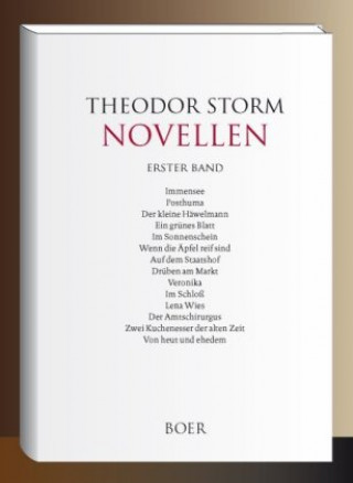 Book Novellen erster Band Theodor Storm