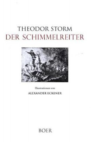 Buch Der Schimmelreiter Theodor Storm