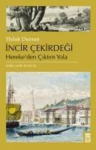 Книга Incir Cekirdegi Haluk Dursun