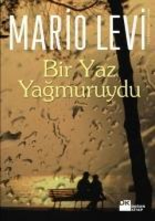 Книга Bir Yaz Yagmuruydu Mario Levi