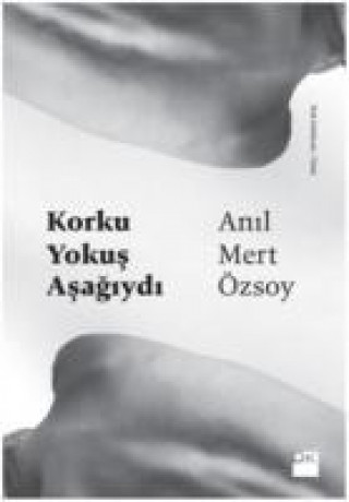 Könyv Korku Yokus Asagiydi Anil Mert Özsoy