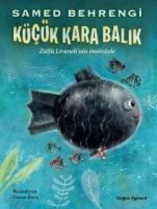 Buch Kücük Kara Balik Samed Behrengi