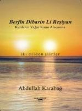 Könyv Berfin Dibarin Li Resiyan - Kardelen Yagar Karin Alacasina Abdullah Karabag