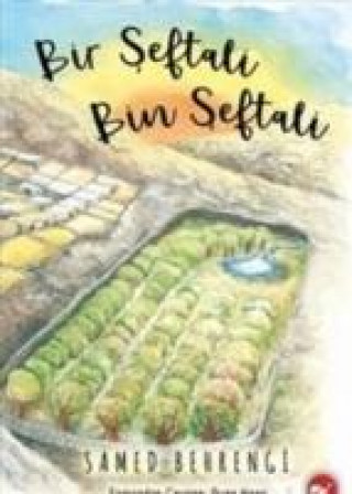 Knjiga Bir Seftali Bin Seftali Samed Behrengi
