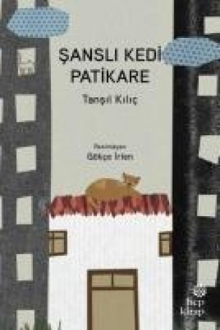Knjiga Sansli Tansil Kilic