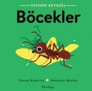 Kniha Böcekler - Tepeden Kuyruga Stacey Roderick