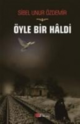 Knjiga Öyle Bir Haldi Sibel Unur Özdemir