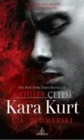 Buch Kara Kurt J. A. Redmerski