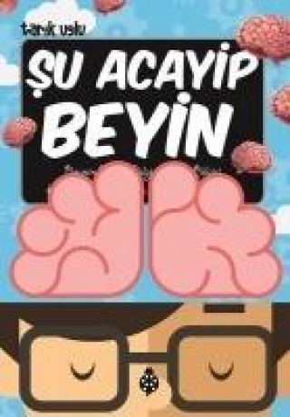 Boek Su Acayip Beyin Tarik Uslu