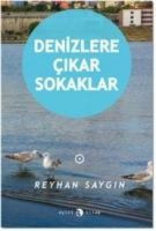 Книга Denizlere Cikar Sokaklar Reyhan Saygin