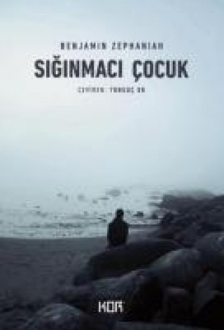 Buch Siginmaci Cocuk Benjamin Zephaniah