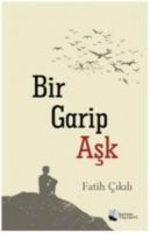 Boek Bir Garip Ask Fatih Cikili