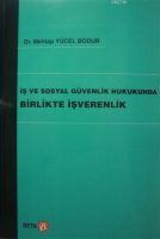Knjiga Is Mehtap Yücel Bodur