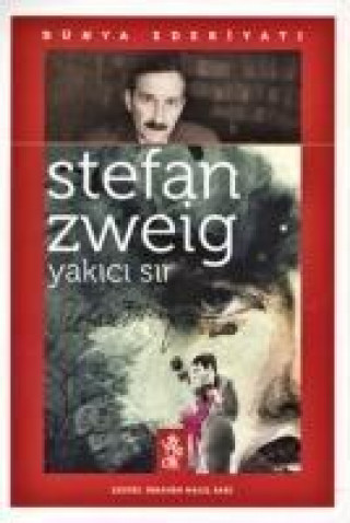 Книга Yakici Sir Stefan Zweig