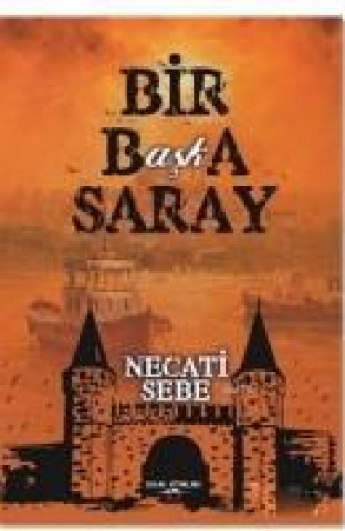 Könyv Bir Baska Saray Necati Sebe