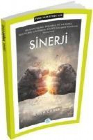 Buch Sinerji Ömer Dogan