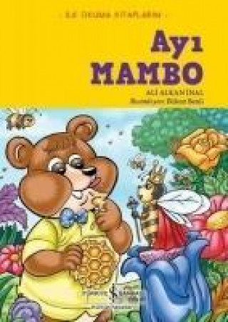 Knjiga Ayi Mambo Ali Alkan inal