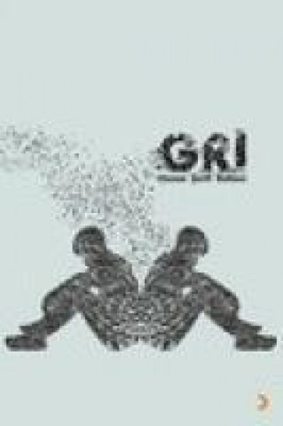 Knjiga Gri Hasan serif Baltaci