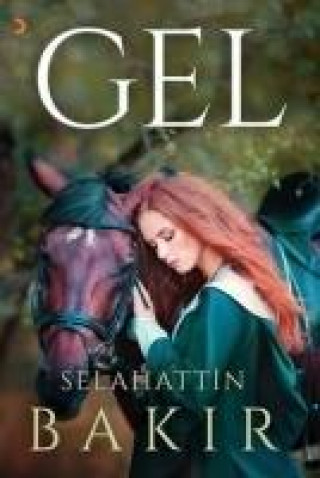 Книга Gel Selahattin Bakir