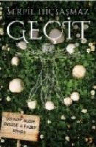 Buch Gecit Serpil Hicsasmaz