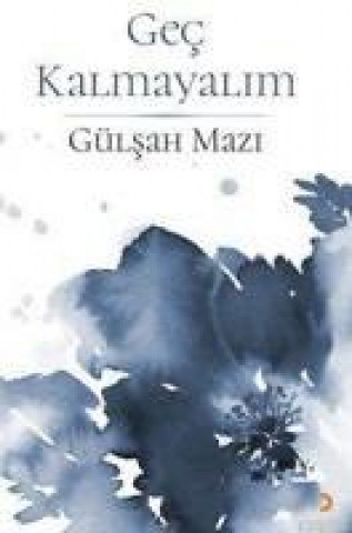 Knjiga Gec Kalmayalim Gülsah Mazi