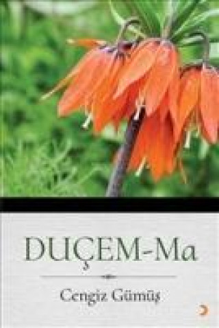 Buch Ducem -Ma Cengiz Gümüs