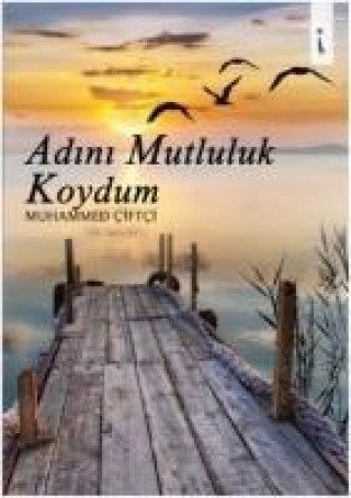 Книга Adini Mutluluk Koydum Muhammed Ciftci