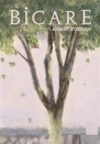 Knjiga Bicare Ahmet Turhan