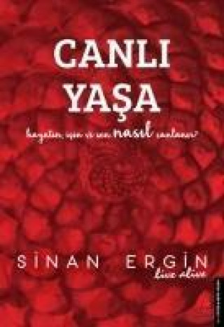 Książka Canli Yasa Sinan Ergin