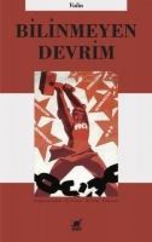 Kniha Bilinmeyen Devrim Voline
