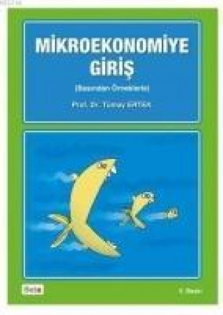 Boek Mikroekonomiye Giris Tümay Ertek