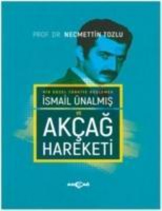 Kniha Bir Güzel Türkiye Düslemek Ismail Ünalmis ve Akcag hareketi Necmettin Tozlu