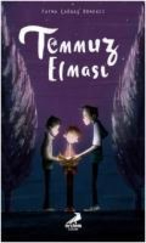 Libro Temmuz Elmasi Fatma cagdas Börekci