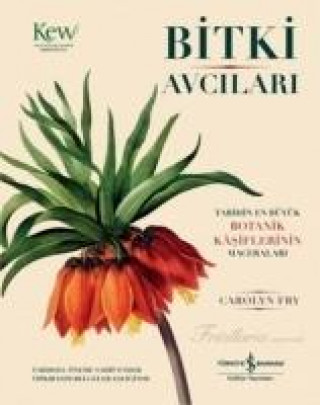 Kniha Bitki Avcilari Carolyn Fry