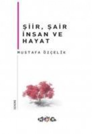 Buch Siir, Sair Insan Ve Hayat Mustafa Özcelik