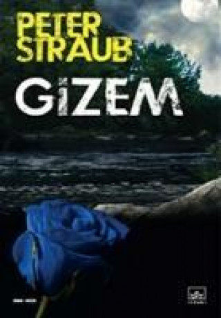 Knjiga Gizem Peter Straub